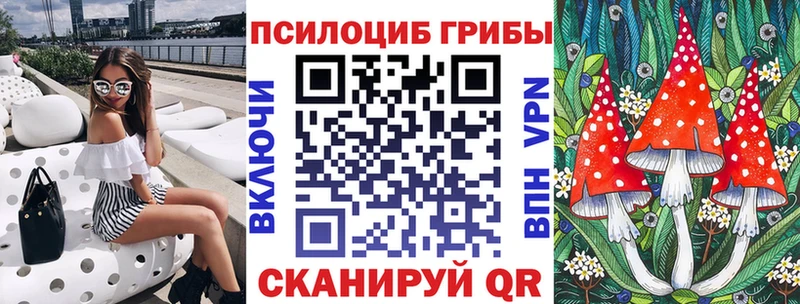 где купить   блэк спрут как зайти  Псилоцибиновые грибы Cubensis  Малмыж 